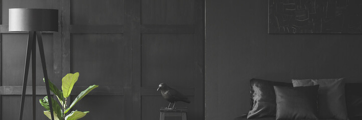 Real panorama photo of a crow figurine in a black bedroom interior with a green plant, tripod floor...