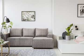 Poster above grey corner sofa in bright apartment interior with plant on platform. Real photo