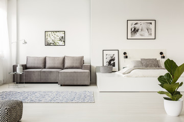 Patterned carpet in front of grey corner couch in open space interior with bed and posters. Real photo