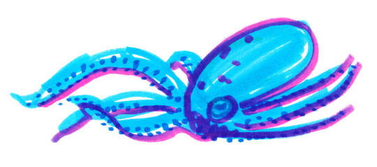 Illustration of bright turquoise blue octopus painted in highlighter markers on clean white background © tina bits