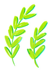 Set of two abstract branches with small round bright green leaves painted in highlighter markers on clean white background