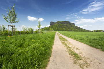 Blick auf den Lilienstein, Sächsische Schweiz