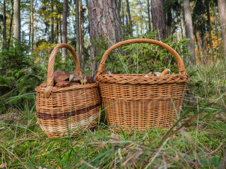 Fototapeta na wymiar Baskets full of mushrooms