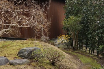 pathway in the garden