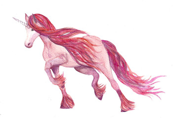 Nice rose magic unicorn without backgraund