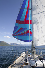 Fototapeta premium Flying a colorful spinnaker on a seaworthy sailing yacht