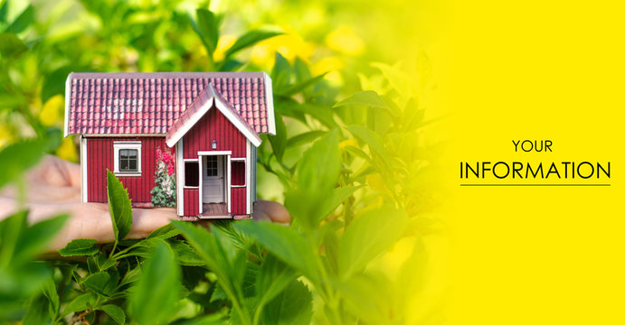 Small house in hand sun leaves plant green nature pattern on blurred background