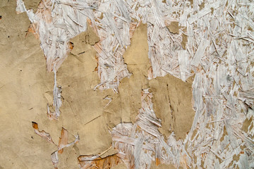 A closeup of a wooden wall with old paint