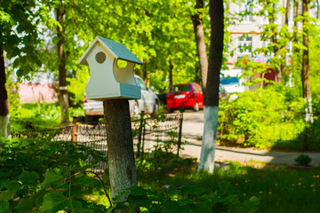 bird feeder on the tree