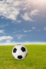  Fußball liegt auf dem Rasen vor blauem Himmel