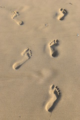 Beautiful background of a sandy beach with footprints