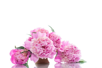 bouquet of blooming peonies