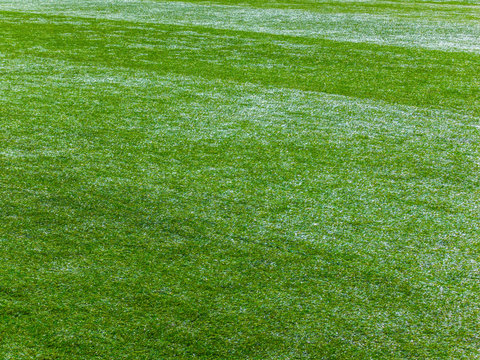 Green football field. Grass background