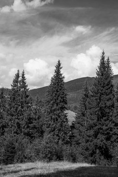 Fototapeta beautiful black and white landscape in the mountains