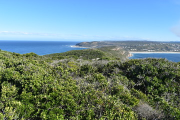 Wonderful landscape with the blue beach at the hiking trail at Robberg Nature Reserve in Plettenberg Bay, South Africa