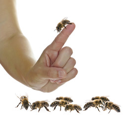 woman hand with finger up with bee.