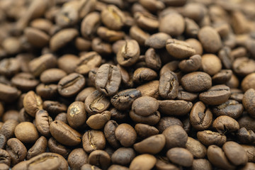 Close up of coffee bean use for background or wallpaper.