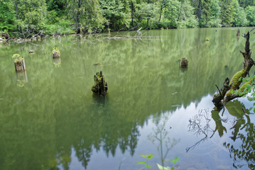 Road trip true the wonderful nature and landscape of Romania