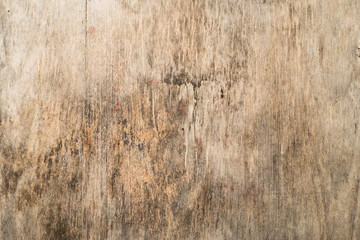 Wooden board texture. Copy space