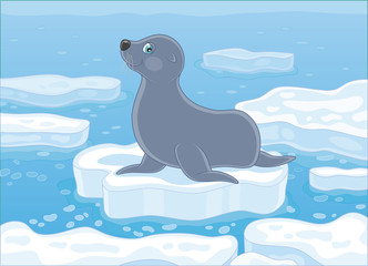 Grey seal on a drifting ice floe in a polar sea, vector illustration in a cartoon style © Alexey Bannykh