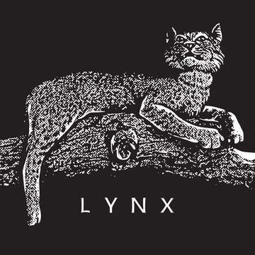 Wild lynx in graphic engraving isolated on black background.
Vector illustration of bobcat (Lynx rufus) in vintage style. Beautiful animal and resting.