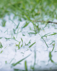 Hail in Grass