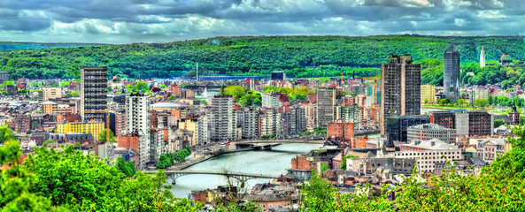 Fototapeta na wymiar Panorama of Liege, a city on the banks of the Meuse river in Belgium