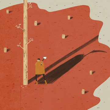 A man cuts down a tree