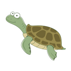 Colorful turtle on white background. Vector illustration.