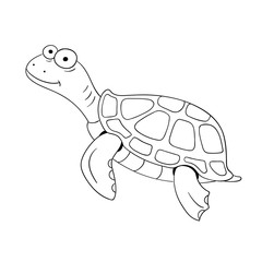 Hand drawn turtle on white background. Vector illustration.