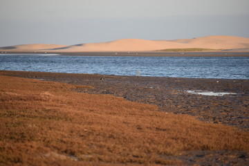 The biggest sand dunes from South Africa near the Sundays River in Colchester near Addo Elephant Park