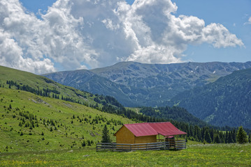 Road trip true the wonderful nature and landscape of Romania