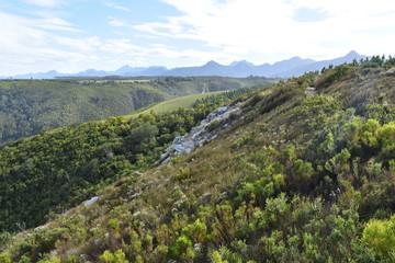 Mountainous landscape at Tsitsikamma National Park in South Africa