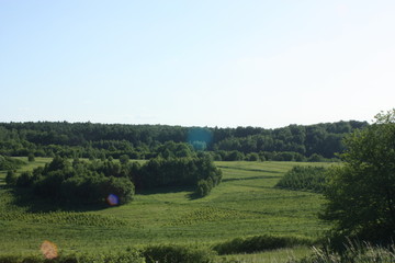 landscape with green field and blue sky