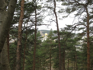 Fototapeta premium St. Nicholas Cathedral in Kislovodsk. Its Golden domes are visible among the pines. In the foreground high pine trees, and in the distance against the green mountains visible snow-white St. Nicholas C