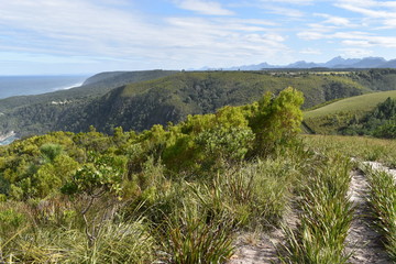 Fototapeta na wymiar Mountainous landscape at Tsitsikamma National Park in South Africa