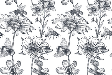 Vector seamless pattern with hand drawn chamomile, wildflowers, herbs, bee