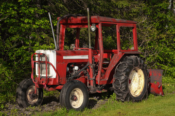 Old red farm tractor in front of foliage.