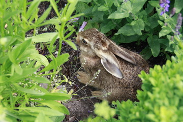 solange mich keiner entdeckt alles in ordnung