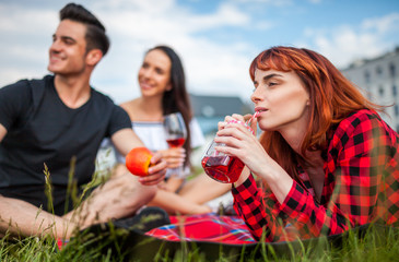 Having fun at picnic, group of happy young people hanging out near houses enjoying summer