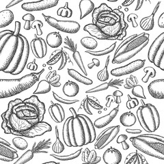 Vector image of painted vegetables on a white background. Graphic seamless pattern.