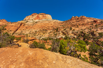 Nature landscape of Zion National Park, USA