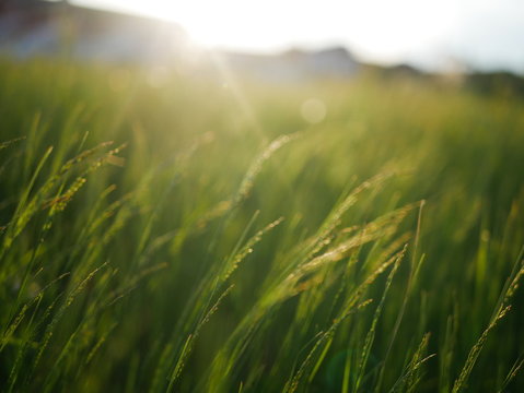 Field with lightrays in Norway