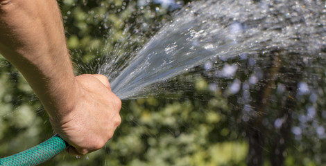 Man watering garden with hose, close-up
