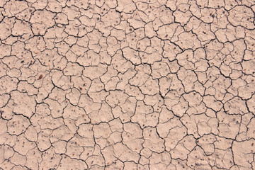 rough ground, dry cracked land