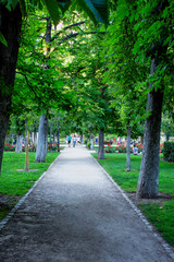 Calles del parque del retiro