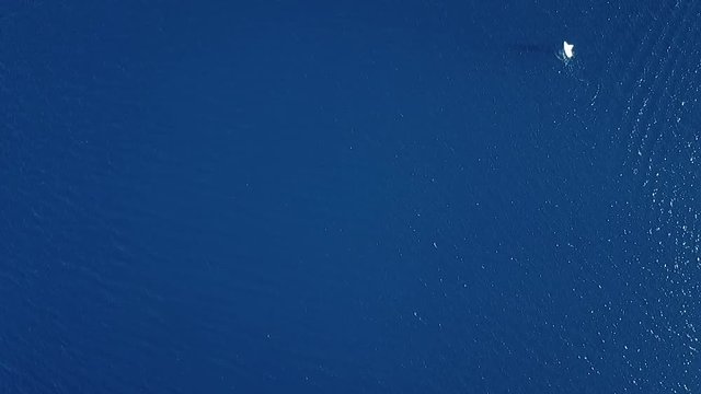 aerial view footage of deep blue sea rippling water surface reflecting the sunlight with a small white sail boat