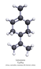 Ball-and-Stick Model of Limonene - 3D Rendering