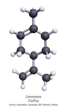 Ball-and-Stick Model of Limonene - 3D Rendering