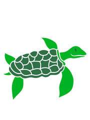 schwimmen tauchen wasser flossen unterwasser comic cartoon schildkröte panzer lustig süß niedlich design cool clipart